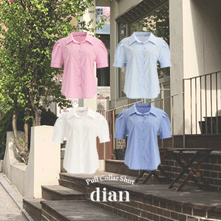 [2000장 돌파✨] 다이앤 퍼프 카라 반팔 셔츠 bs7611