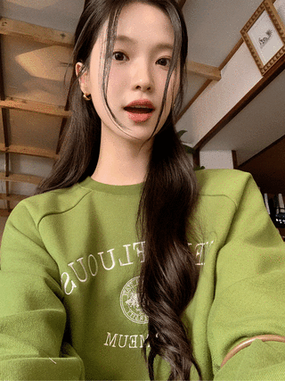 [1000장 돌파✨] (기모&양기모ver.추가!) 에이든 자수 루즈핏 맨투맨