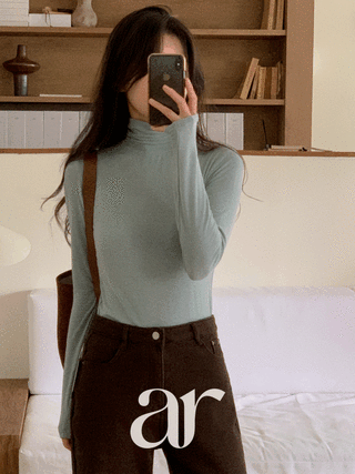 [울함유] (소프트쫀득핏/벗기싫은촉감/질좋은기본겨울티) 데비지 울 폴라 티셔츠