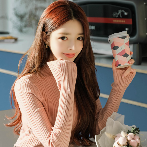 nt1990 반목과 폴라넥 디자인의 알파고패브릭 골지니트 knit