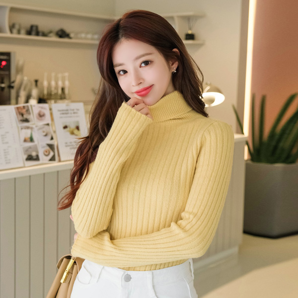 nt2016 부드러움에 퐁당 빠진 골지 폴라넥 슬림핏 니트 knit