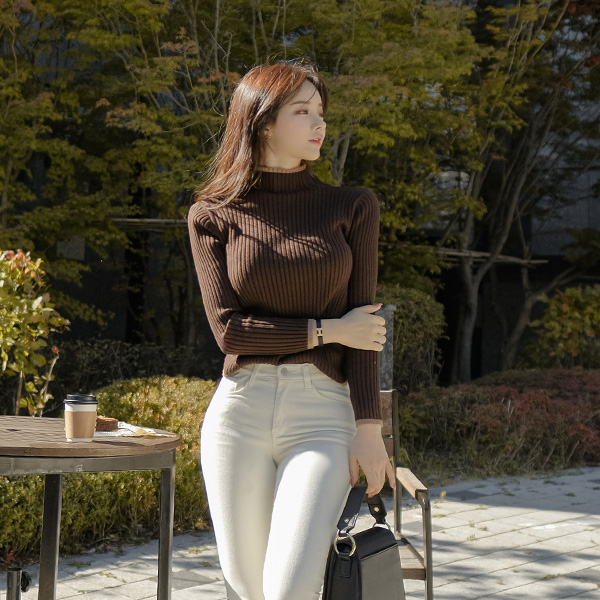 nt2396 얇은 배색 라인 포인트 슬림핏 골지 반폴라 니트 knit