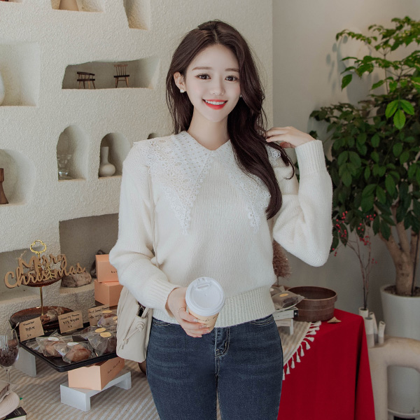 nt2546 러블리한 무드의 레이스 빅카라로 완성된 베이직핏 라운드넥 니트 knit